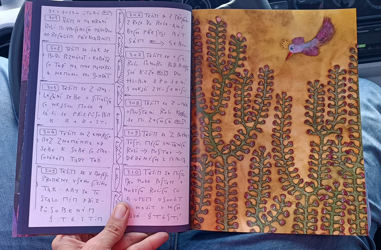 Josef Zajíček: 3650 radostí Chaosana