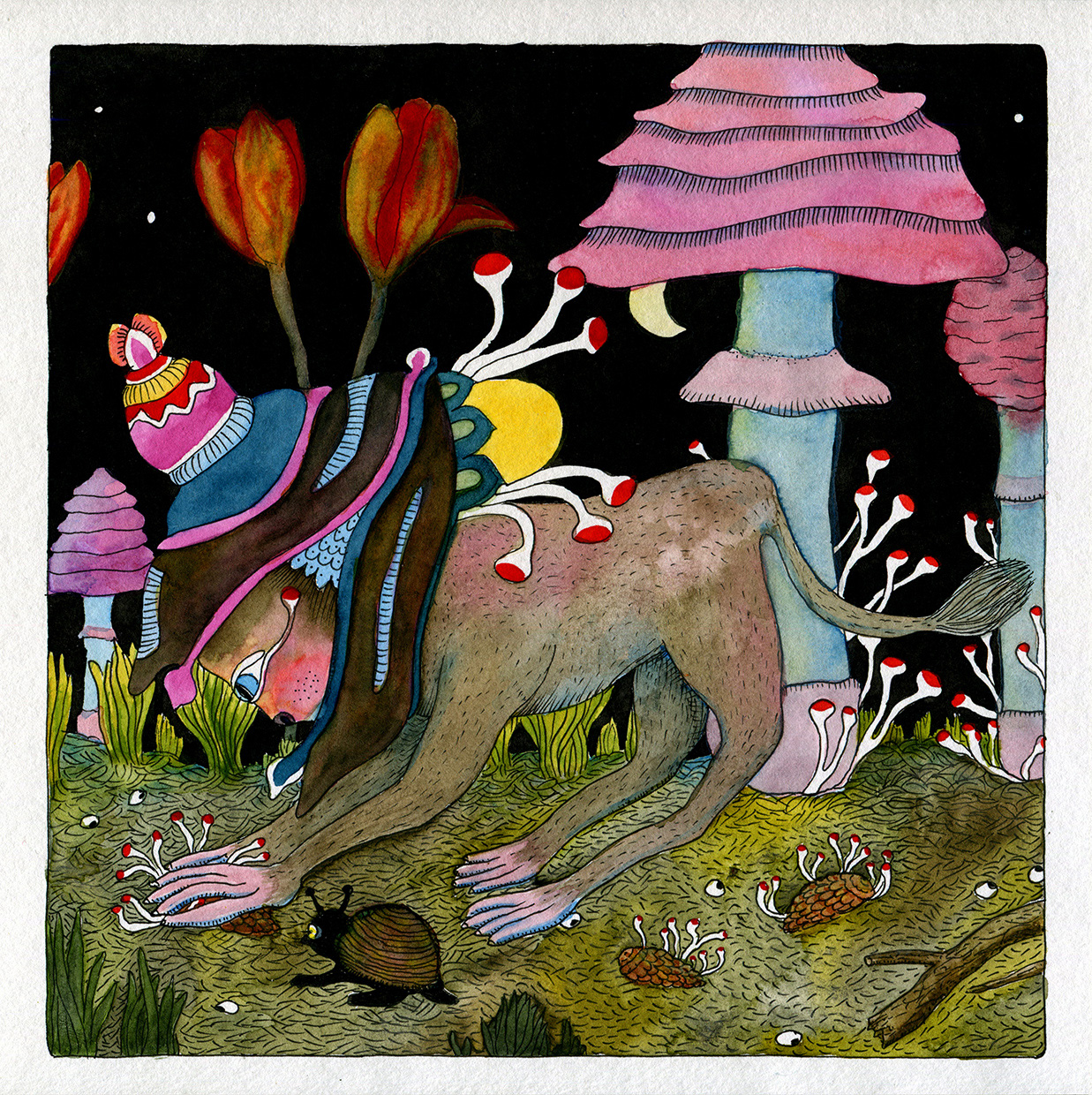 Mycélium – obraz do tmy