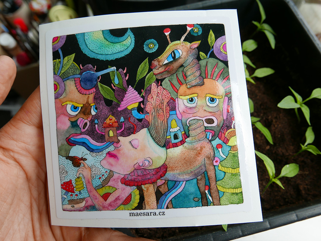 Křehkost usínání