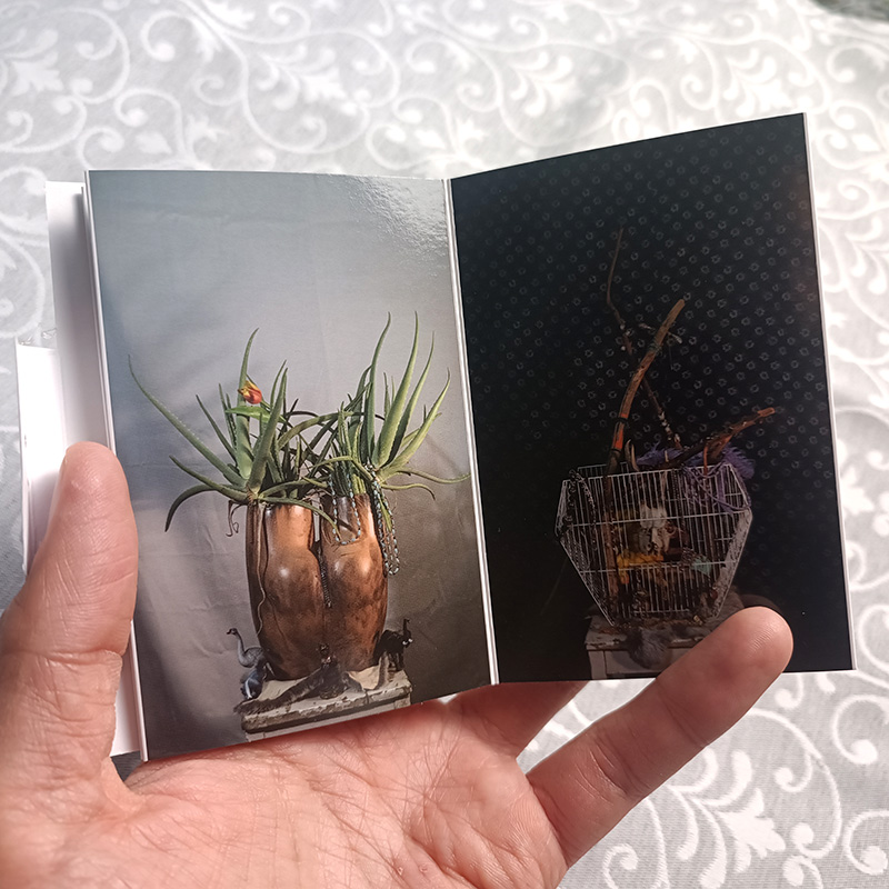 Radka Anna Chocholoušová: Totemy jizerských indiánek