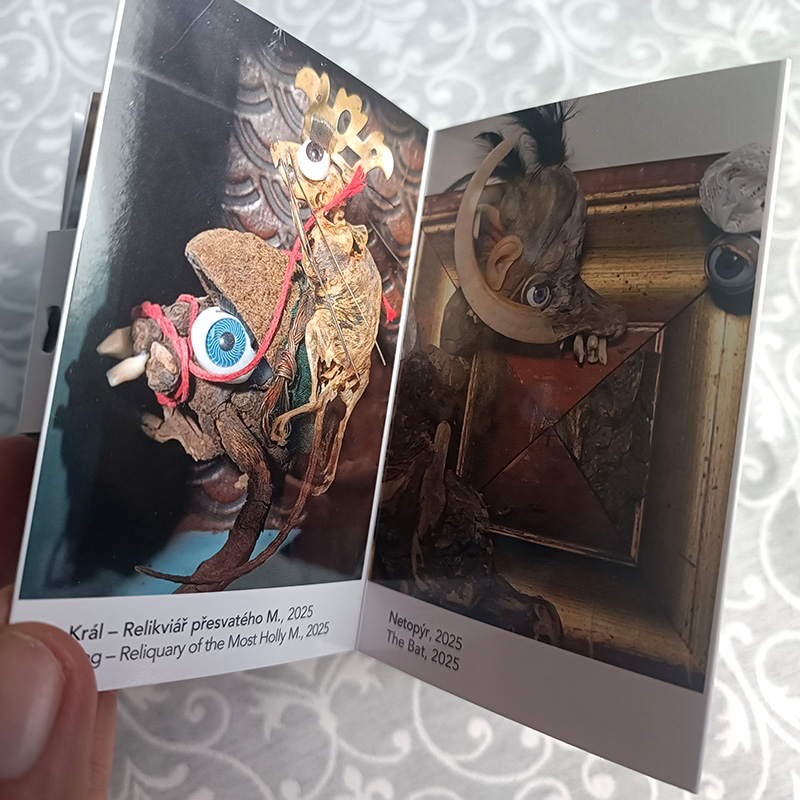 Simona Vinšová: Pohrobci lesa