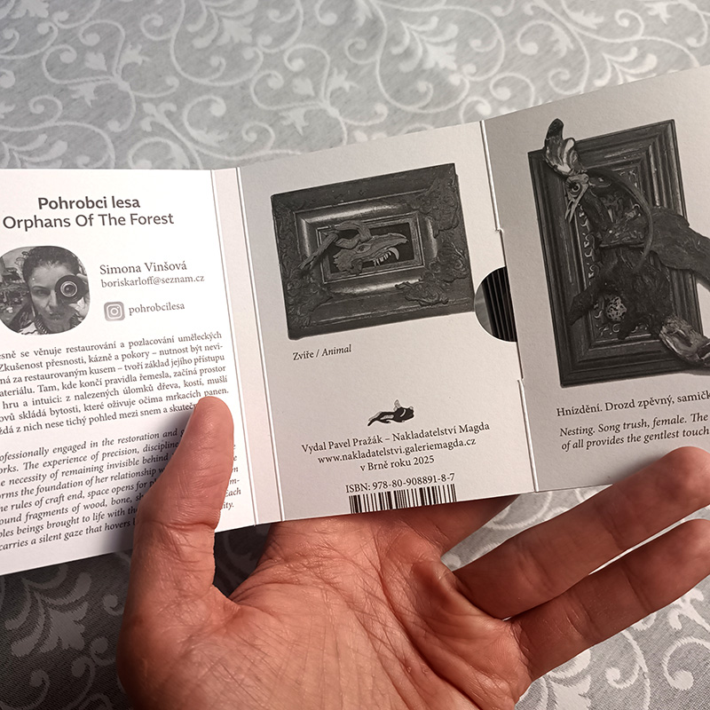 Simona Vinšová: Pohrobci lesa