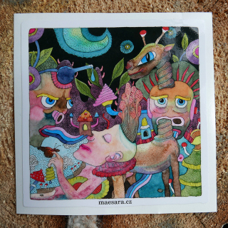 Křehkost usínání