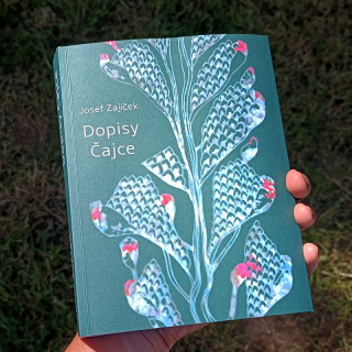 Josef Zajíček: Dopisy Čajce